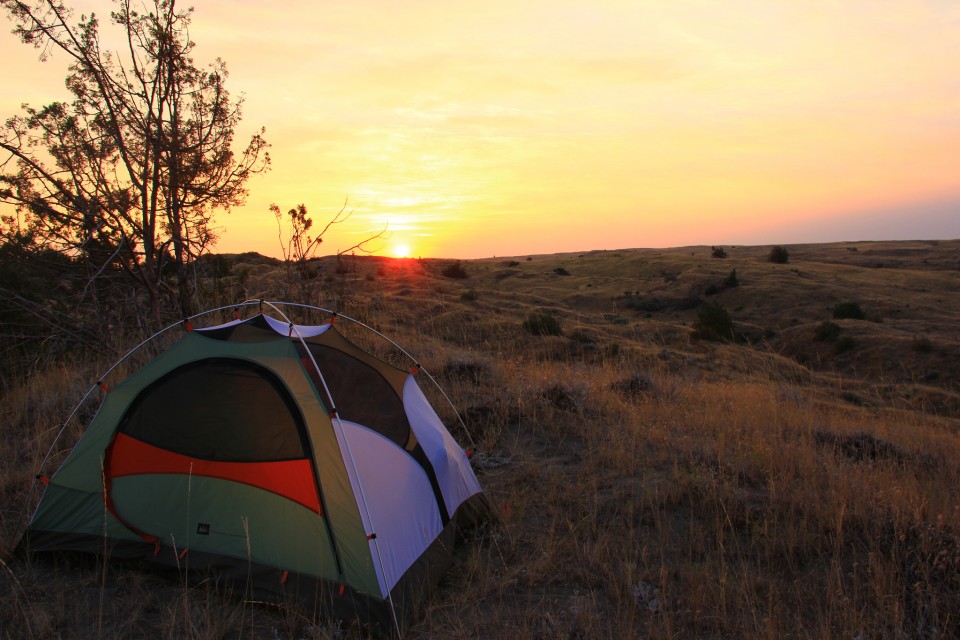 Top 5 Family-Friendly Camping Destinations