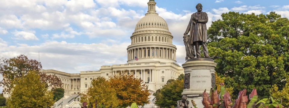 A Local’s Guide to Washington, D.C.