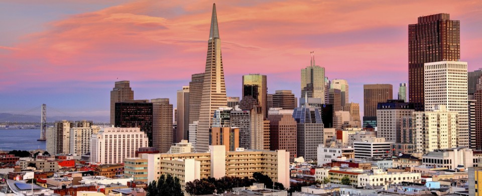 Summer in the Park: San Francisco