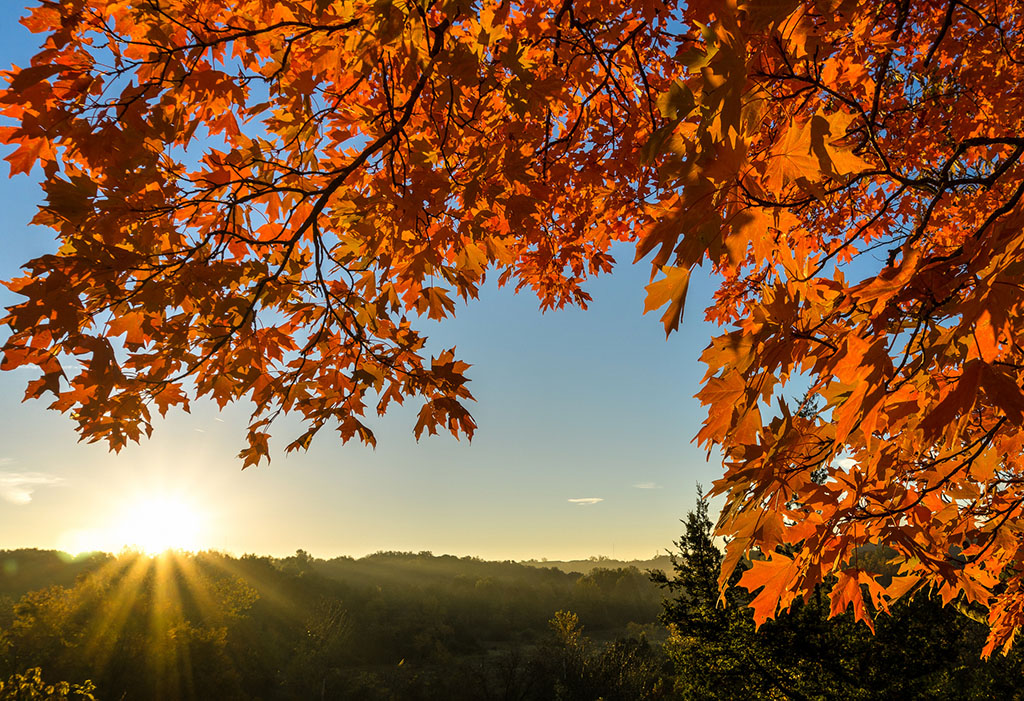 Leaf Peeping: Our Favorite Fall Foliage Spots