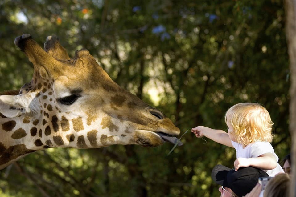 The Top 7 Kid-Friendly Spots in San Diego