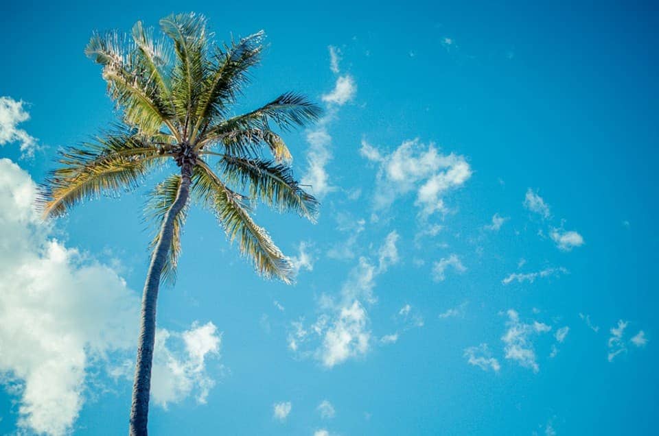 6 Steps to a Splendid Weekend in Miami, Florida