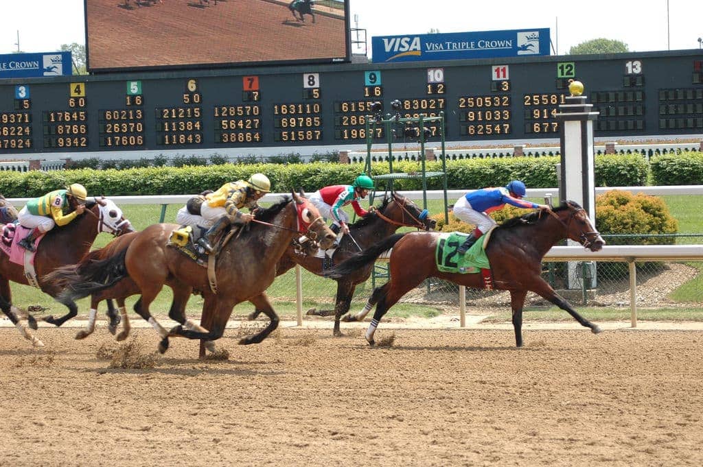 The Derby In Louisville