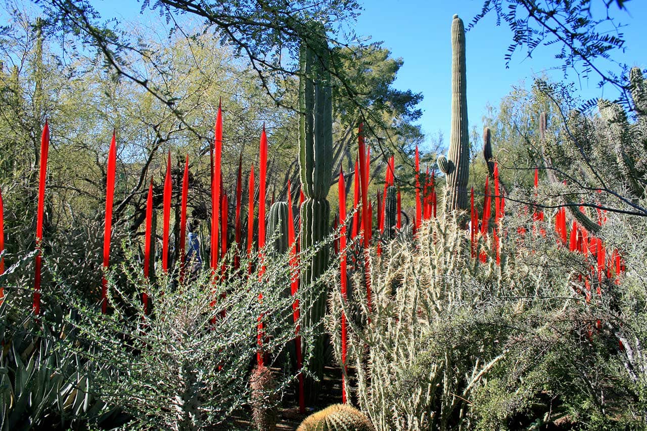 Phoenix Desert Gardens