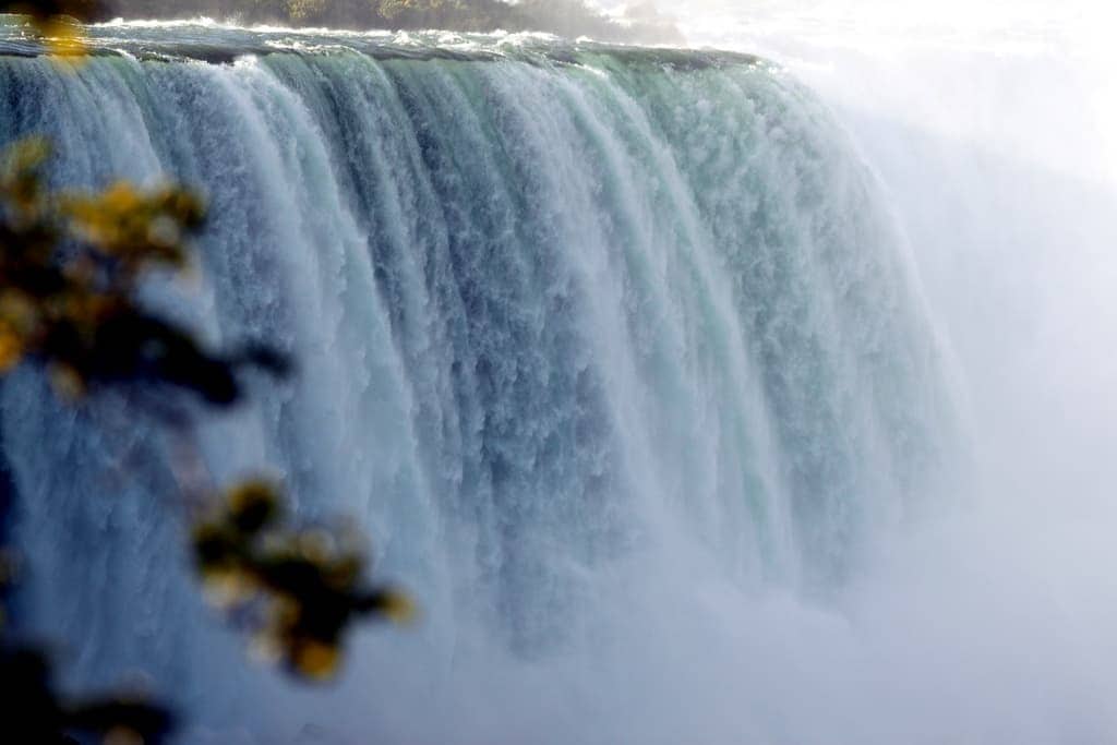 The Ferocious Falls: Romance and Drama in Niagara