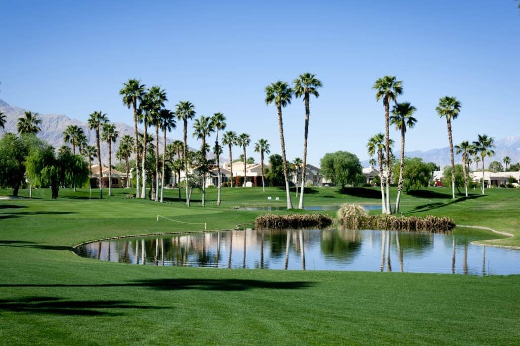 PalmSprings
