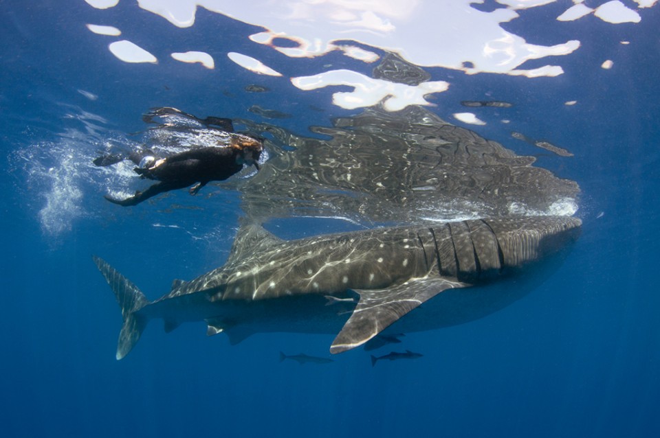 cancun activities
