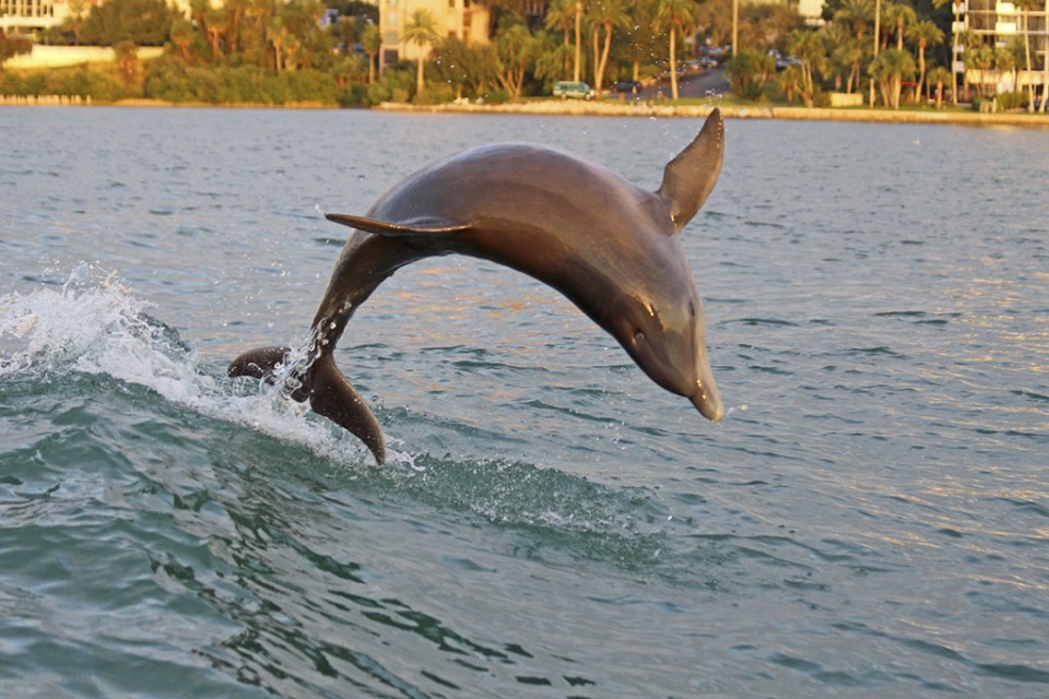 Florida’s Gulf County: Unplug & Reconnect