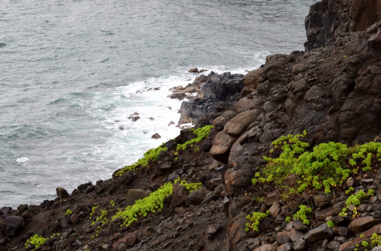 Exploring Maui’s Raw Beauty