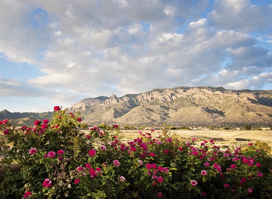 5 Days in Albuquerque for Couples