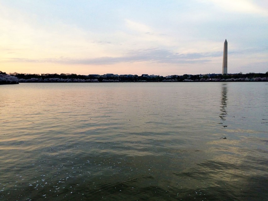 Summer Fun in Washington, D.C.