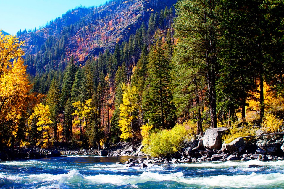Fall in Love with Seattle This Autumn