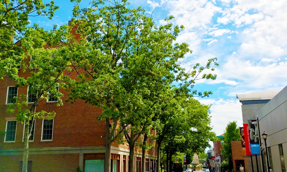 An Afternoon in Salem