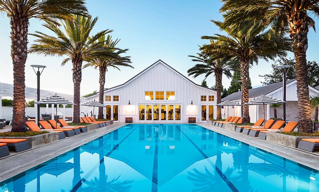 HoneyTrek Napa Valley, Carnereos Pool Palms