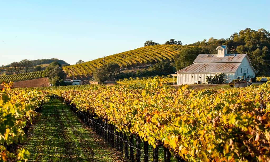 A Lovers’ Guide to Napa Valley