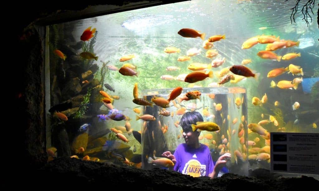 3 Places to Visit in Tijuana with Kids - Travelocity.com
