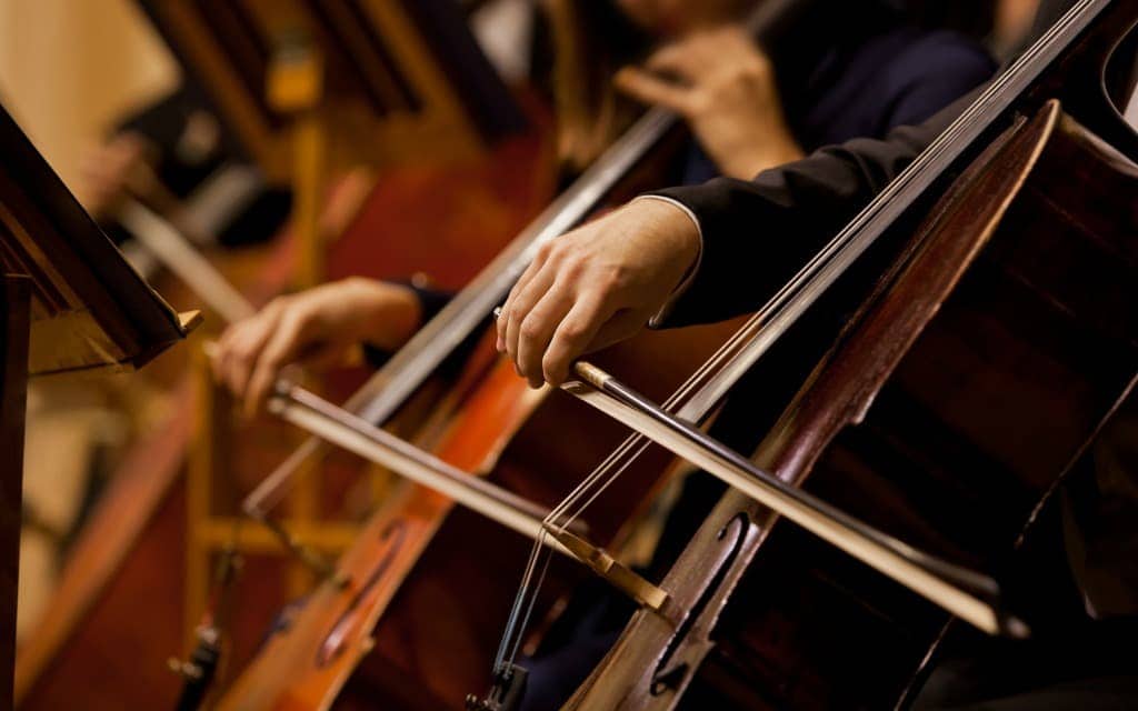 symphony orchestra close-up