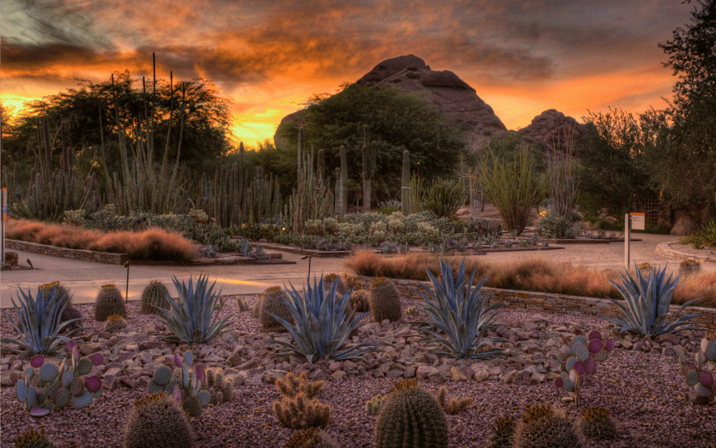 Family Fun in the Valley of the Sun Desert Botanical Garden - Travelocity