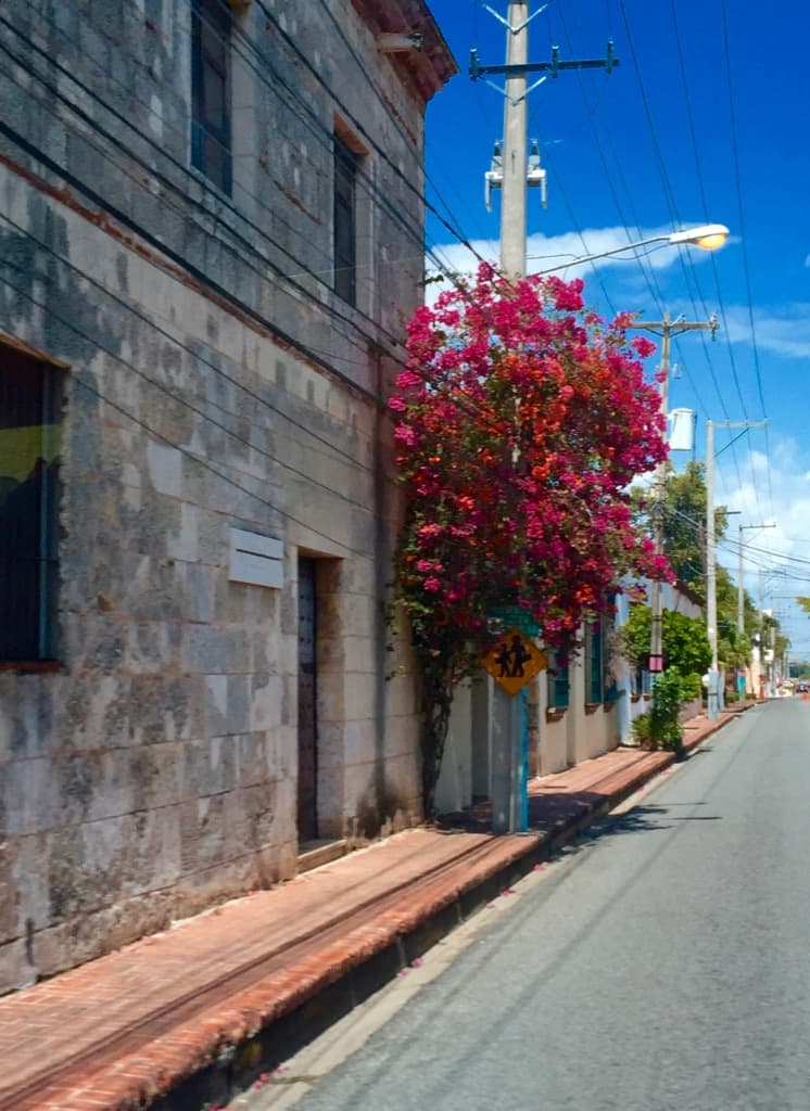 Come along with PointsandTravel to discover Santa Domingo - The First City of the New World.