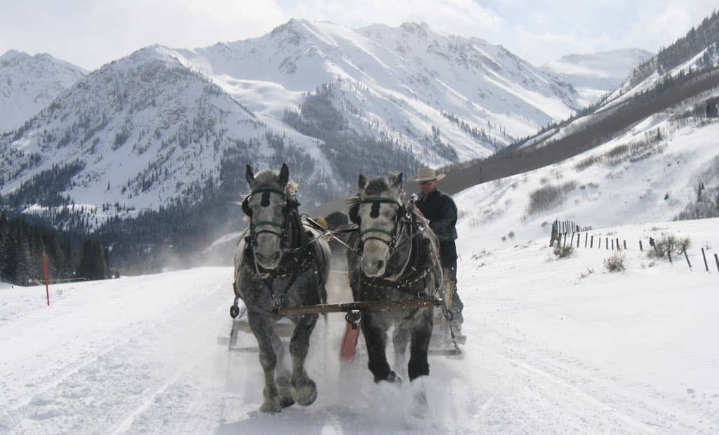 Horse Drawn Sleigh Ride Colorado