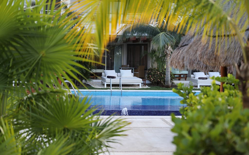 Swim-up Suite at Beloved Playa Mujeres