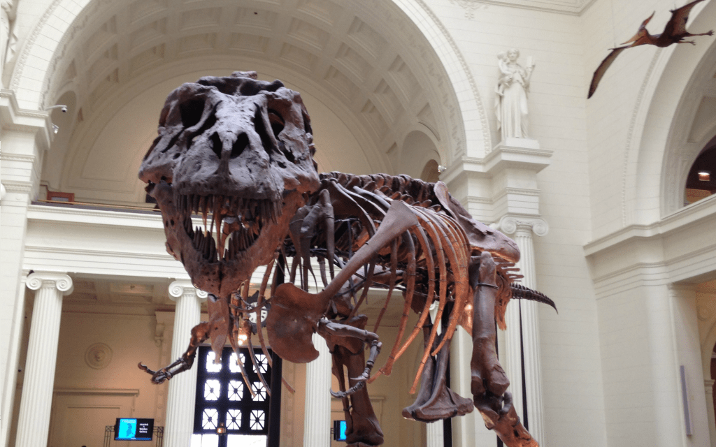 Best-Things-to-Do-in-Chicago-in-the-Summer-Time-Visit-the-Museums-Travelocity