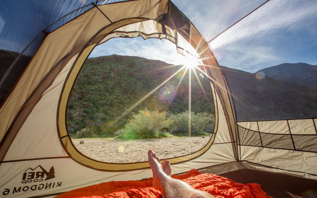 California Wildflower Bloom: Camping in Anza-Borrego State Park