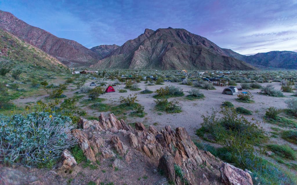 California Wildflower Bloom: Our campsite in Anza-Borrego State Park