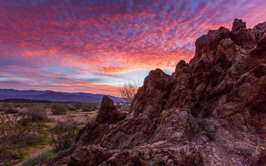 California Wildflower Bloom: Sunrise from the hills above Borrego Springs Palm Canyon Campground