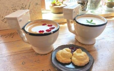 Fun (and Crazy) Themed Cafes in Seoul