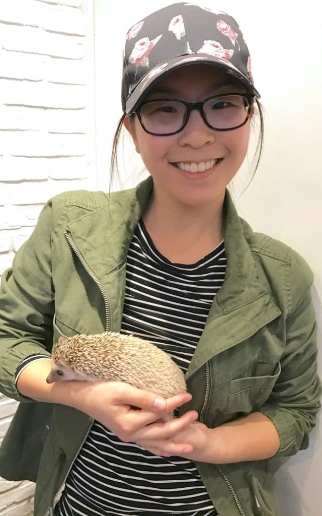 Harry Hedgehog Cafe in Tokyo