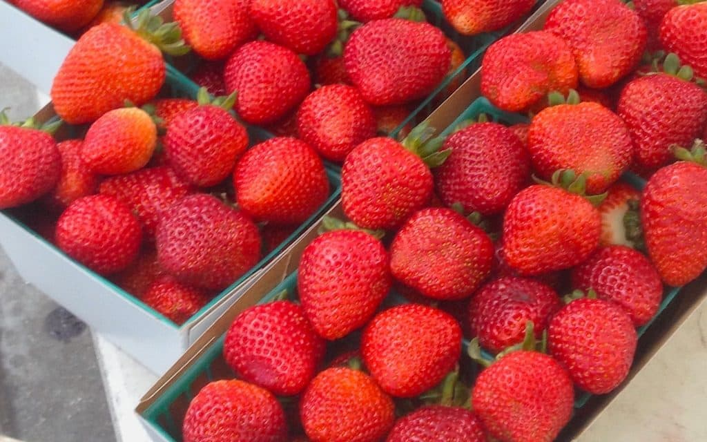 Local Farmers Market