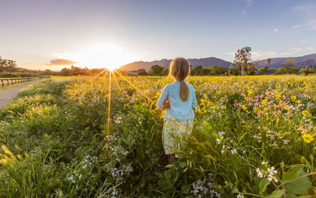 Ojai with kids: March wildflowers in Ojai