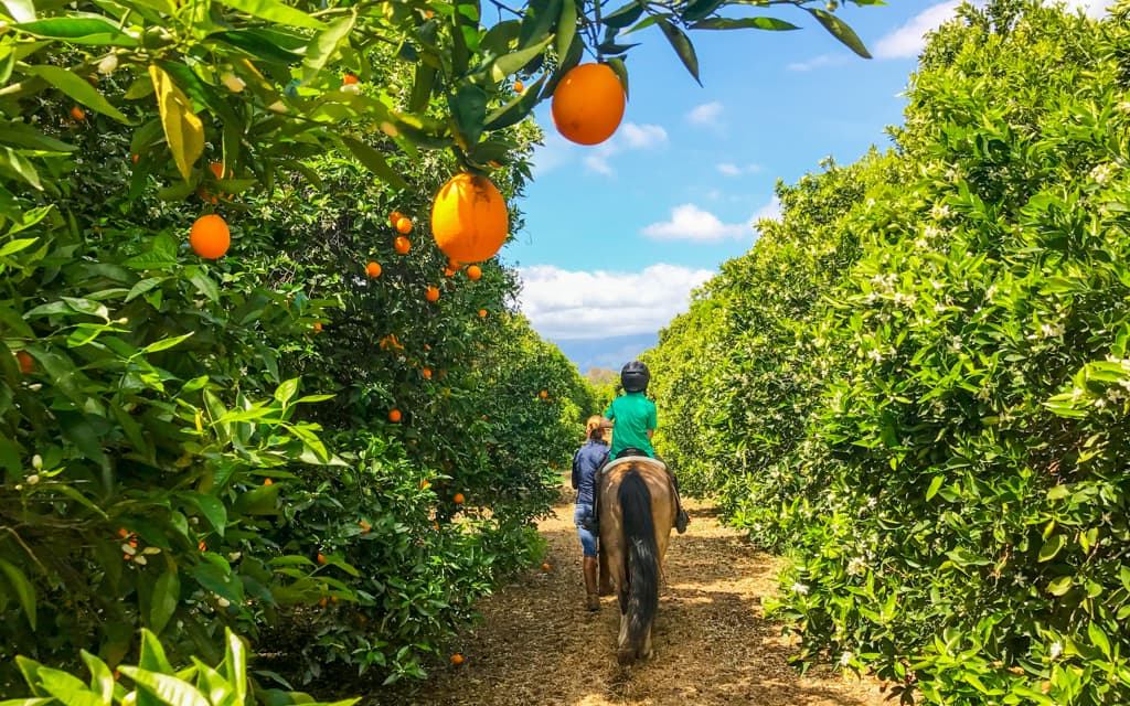 Ojai with kids: horseback riding
