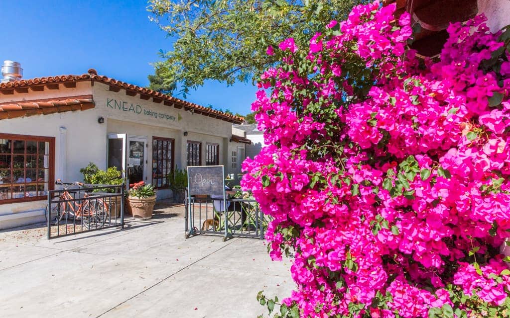 Ojai with Kids: Knead Baking Company in Ojai