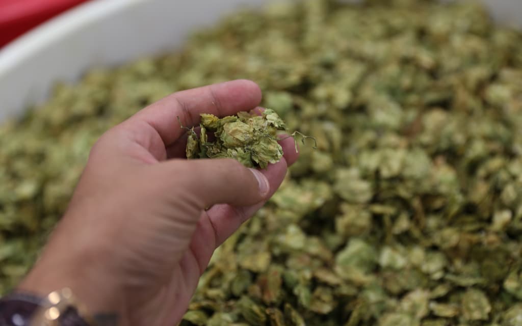 Sorting through hops