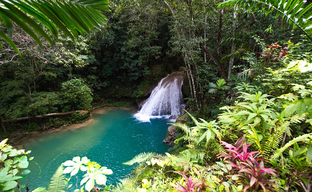 Jamaica’s Most Exhilarating Adventures