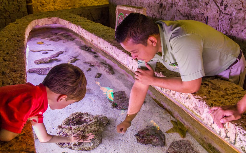 Riviera Maya with kids - Hands-on learning at Xcaret