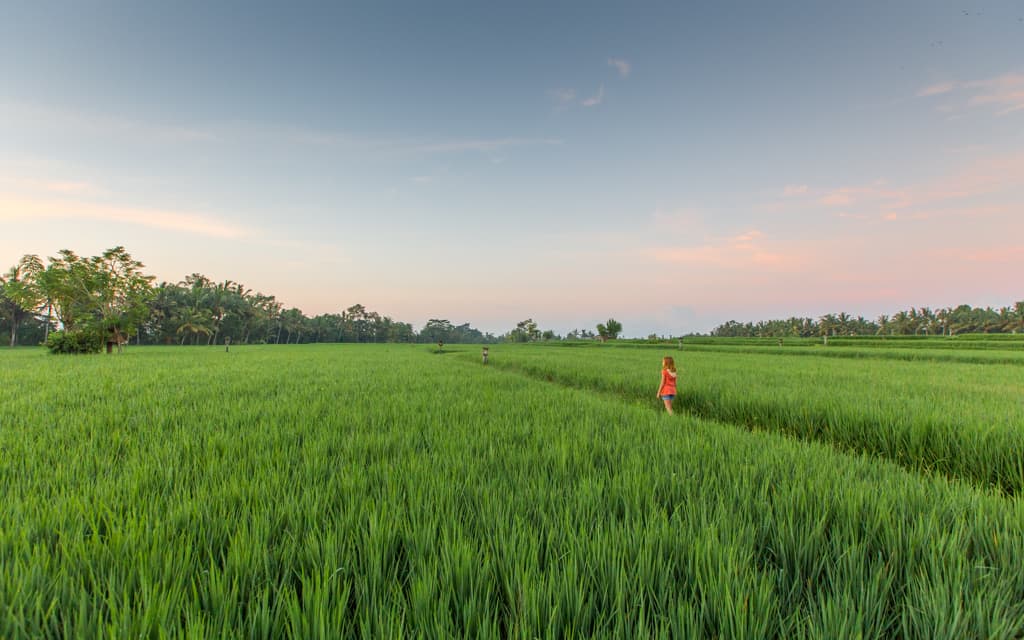 Travel with Kids: Sunrise in Bali (9 years)
