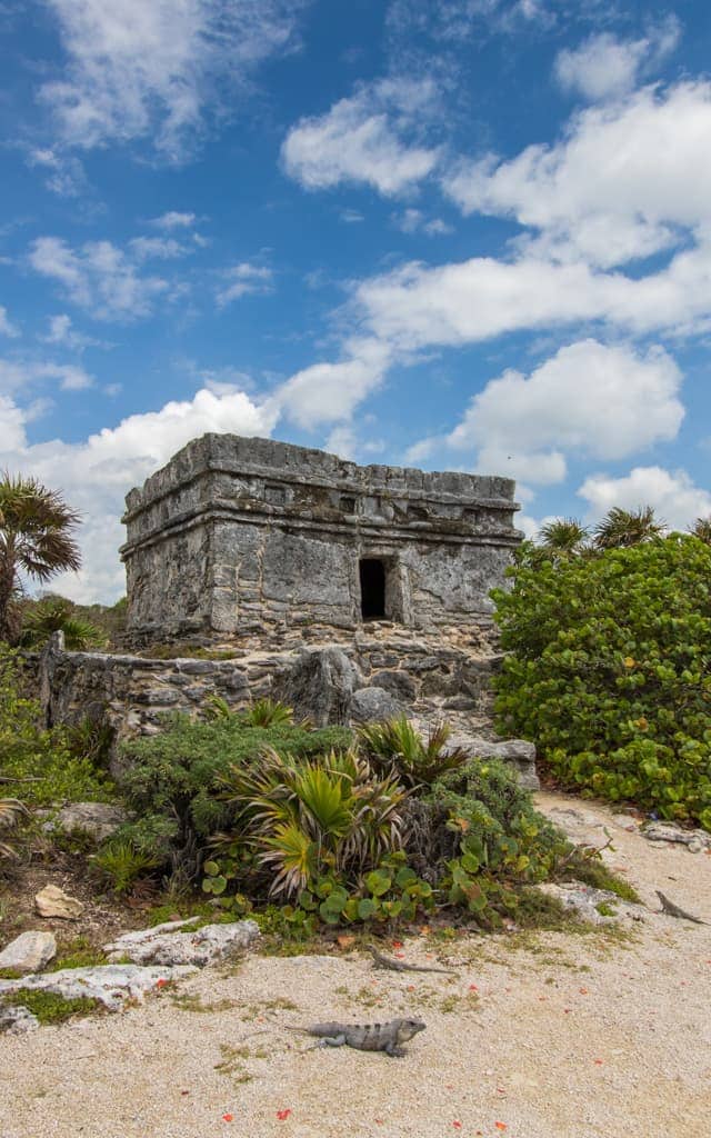 Riviera Maya with kids - Iguanas in front of one of Occidental's Mayan sites