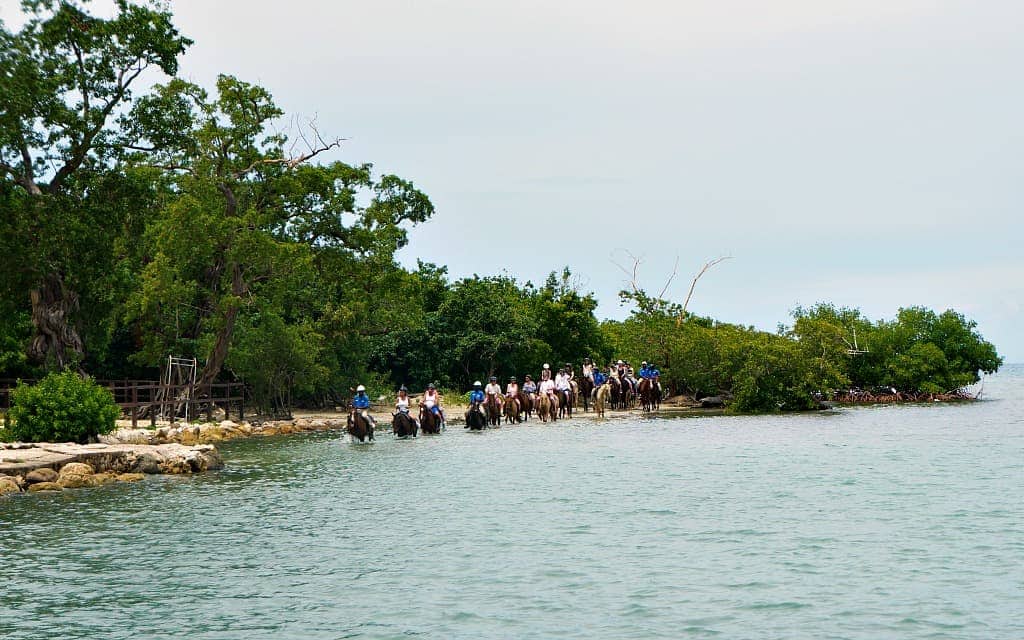 horseback ride and swim in Montego Bay, Jamaica - Travelocity.com