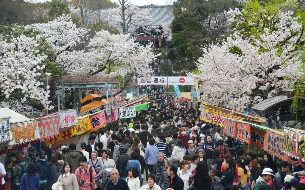 street food in Ueno Park during cherry blossom season