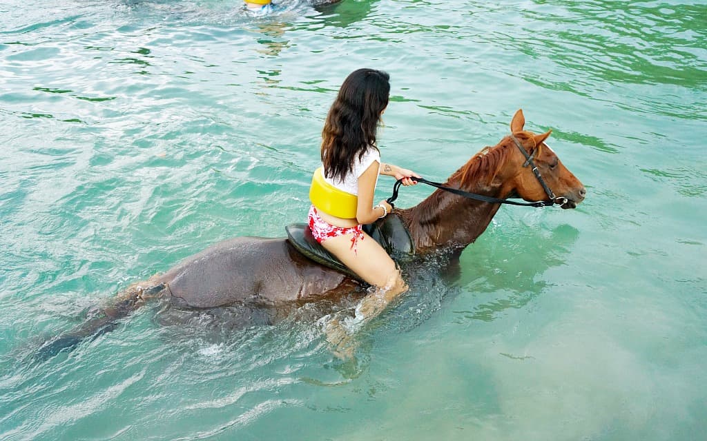 horseback ride and swim in Montego Bay, Jamaica - Travelocity.com