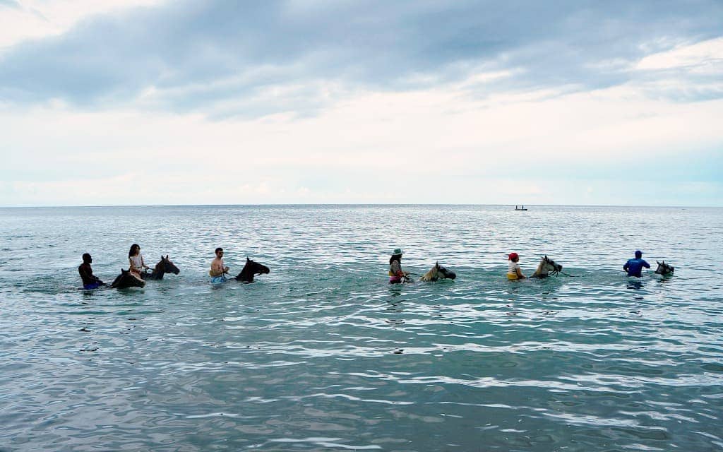 horseback ride and swim in Montego Bay, Jamaica - Travelocity.com