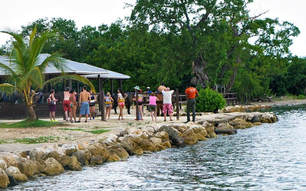 horseback ride and swim in Montego Bay, Jamaica - Travelocity.com