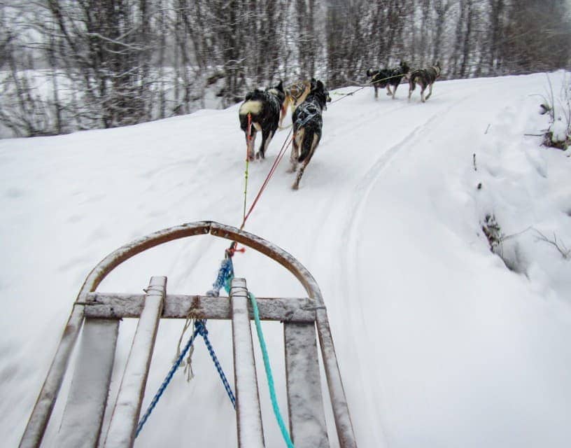 Bucket list activities: husky sled