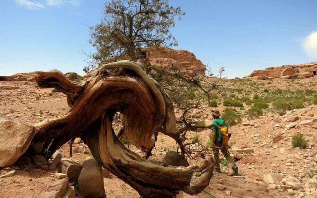 Little-Petra Hike