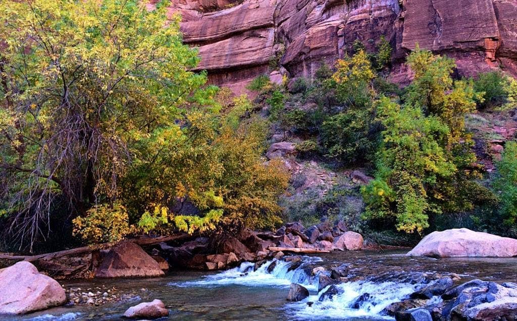 Zion - National Parks