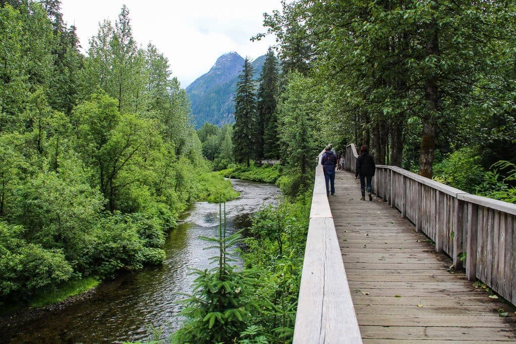Fish Creek Wildlife Observation Site, Hyder AK