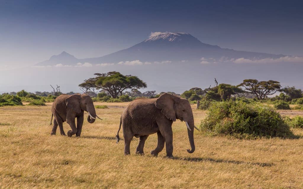 Travel inspiration: Amboseli National Park in Kenya, at the base of Mount Kilimanjaro